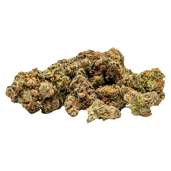 TADU - GovernMint Oasis2