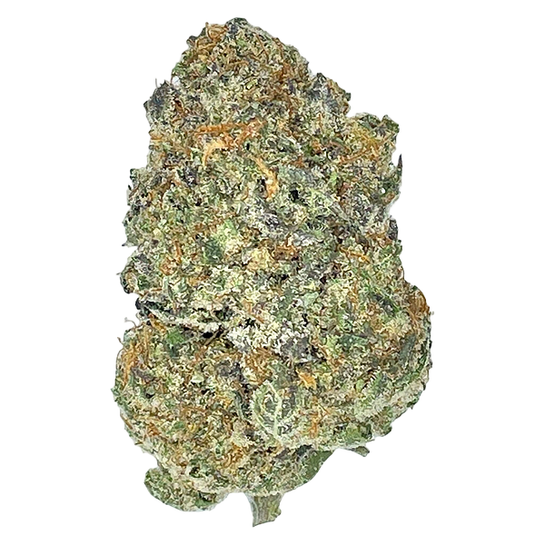 Partake - Orange Squeeze