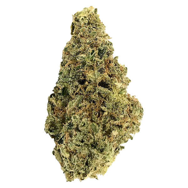 Crooked Dory - AAA+ Indica