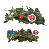 Western Cannabis - Multipack of Madness