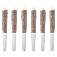 Station House - Trainwreck Pre-Roll