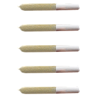 Bullrider - Select Pre-Roll