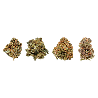 Potluck - Fruit Collection Ounce