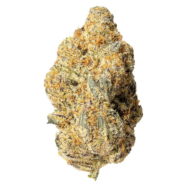 Cultures Chloris - Zombie Bride image 1