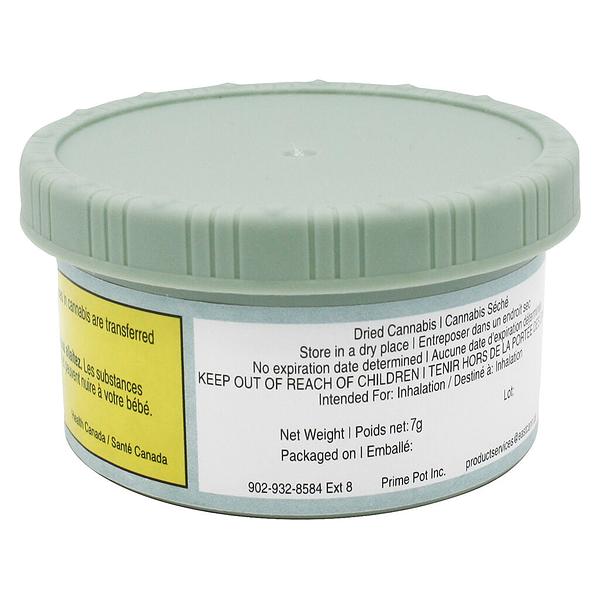 EastCann - Rainbow Pavé image 3