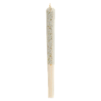 1964 - Organic Comatose Pre Roll