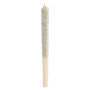 1964 - Organic Comatose Pre Roll
