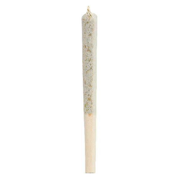 1964 - Organic Comatose Pre Roll
