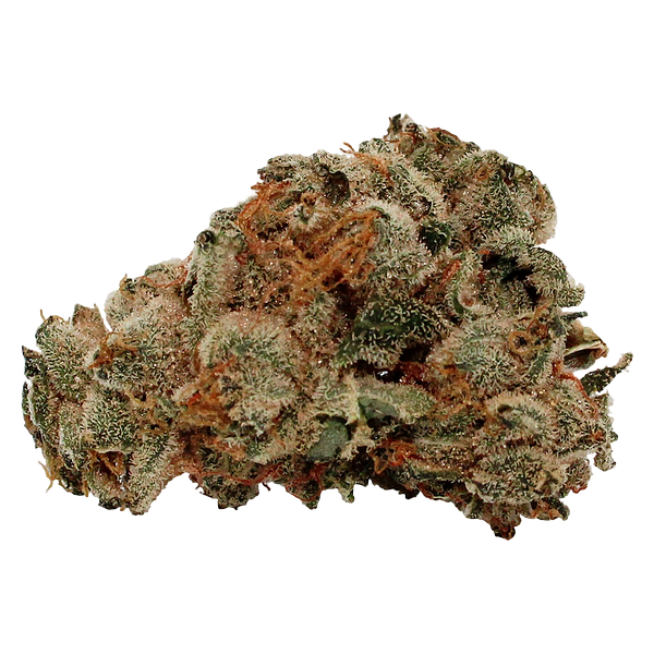 Pure Laine - Original Kush