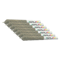 CALI - Mmmosa Evo Pre-Roll