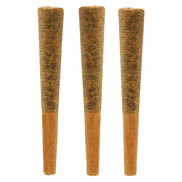 Noodz - Jungle Fire Pre-Roll