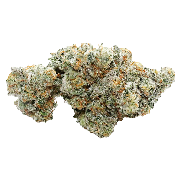 VOLO - Marshmallow Milk