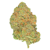 San Rafael '71 - Black Jelly