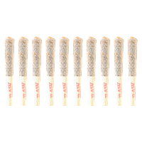 BLK MKT - Rainbow P Pre Roll