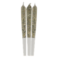 Color Cannabis - Blueberry Seagal Live Resin Infused Pre-Roll