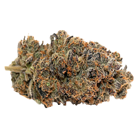 Pineapple Buds - Violet G*shers