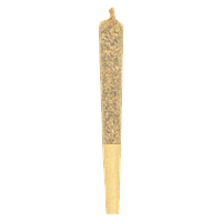 Pura Vida - Sativa Honey Oil Infused Pre-Roll