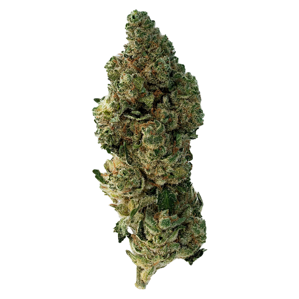 The Loud Plug - Frosted Swirl