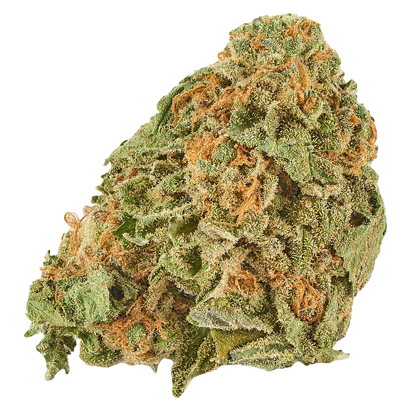 Good Supply - Grand Daddy Purps