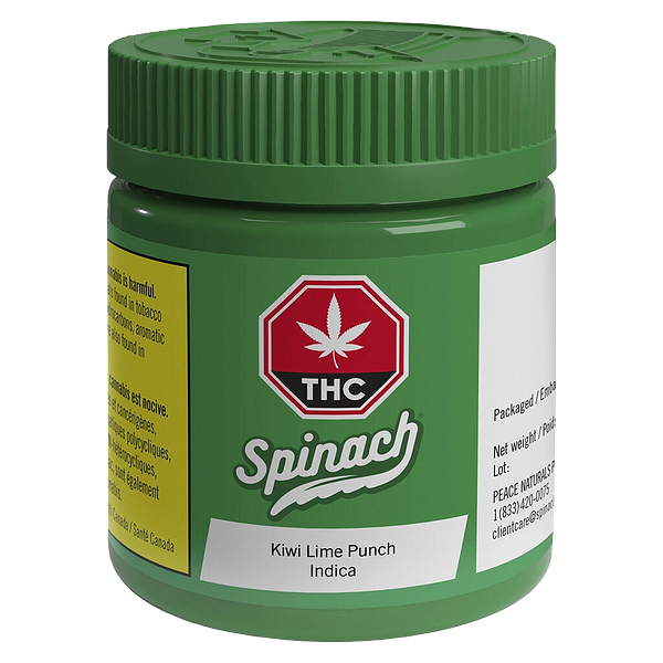 Spinach - Kiwi Lime Punch
