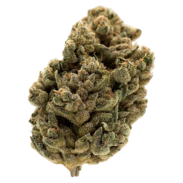 MTL Cannabis - Jungl' Cake