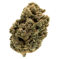 MTL Cannabis - Jungl' Cake