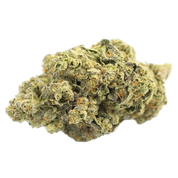 Terp Town Collective - Chunk Dawg