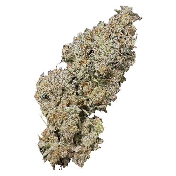 High Xotic - Royal Dive #1: Black Mountain Side