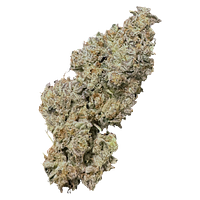 High Xotic - Royal Dive #1: Black Mountain Side