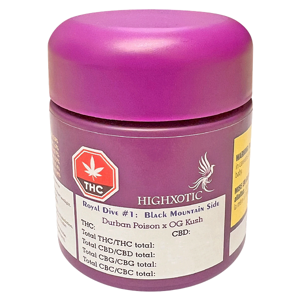 High Xotic - Royal Dive #1: Black Mountain Side