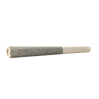 Tenzo - Iced Cream Infusion Infused Pre Roll