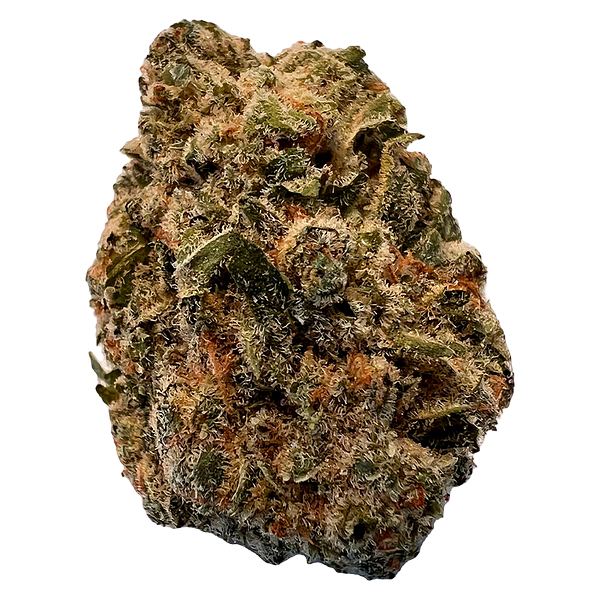 Versus - Bc Purple Kush