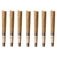 BOLD - Death Star Pre Roll