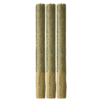 Freedom Cannabis - Reserve Sativa Sunrise Pre Roll