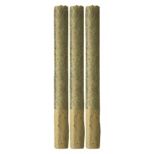 Freedom Cannabis - Reserve Sativa Sunrise Pre Roll