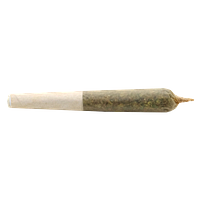 Buddy Blooms - Lil Buddy Sativa Pre Roll
