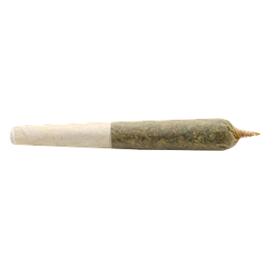 Buddy Blooms - Lil Buddy Sativa Pre Roll