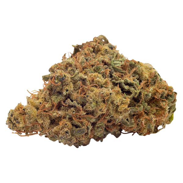 FIGR - Go Play Coastal Sage