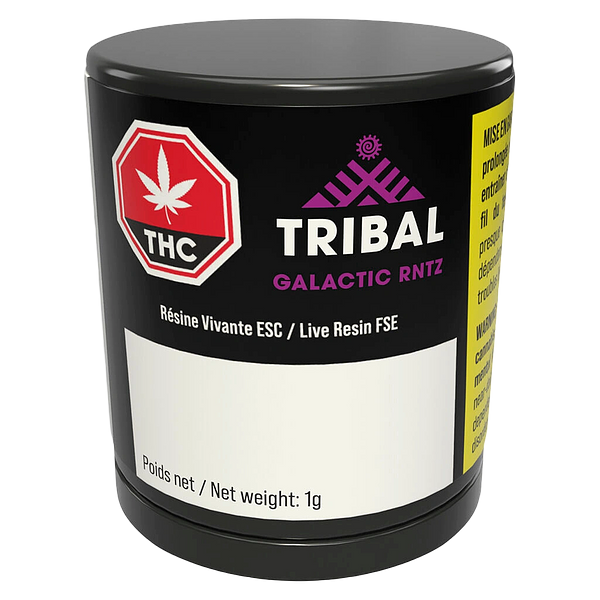 Tribal - Galactic Rntz Fse