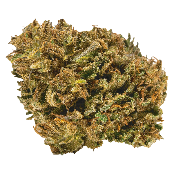 Catch Me Outside - Power Nap