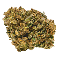 Catch Me Outside - Power Nap