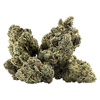 BC Black - Galactica Og