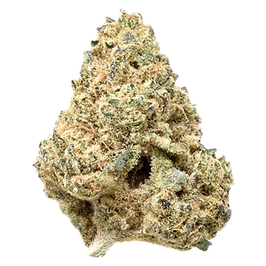 Crooked Dory - Gorilla Lemon Fire