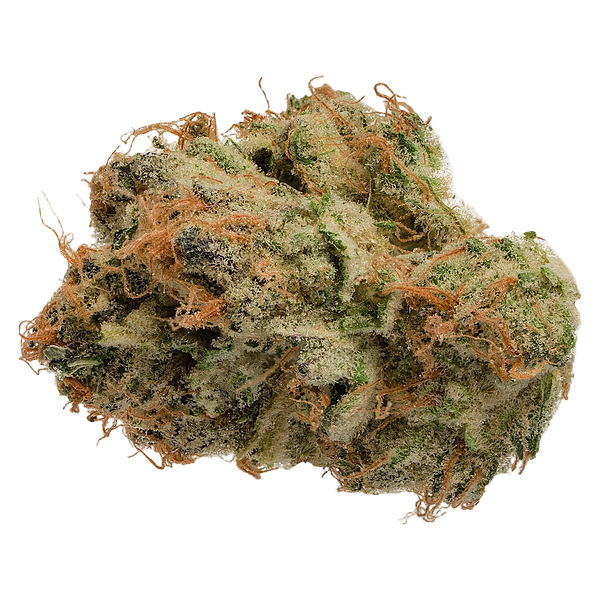 Jonny Chronic - Tropicanna