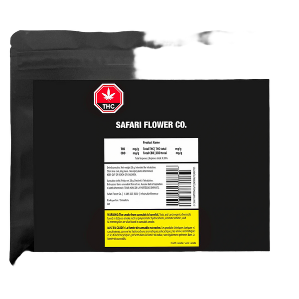 Seeker - Terp N'Tine