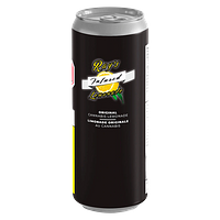 Ray's Infused Lemonade - Original Lemonade