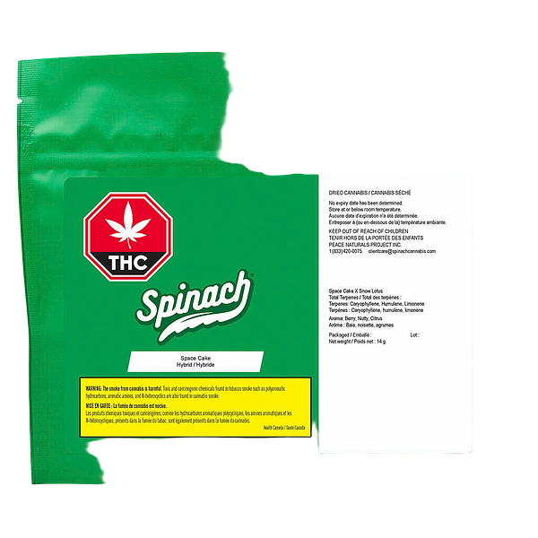 Spinach - Space Cake