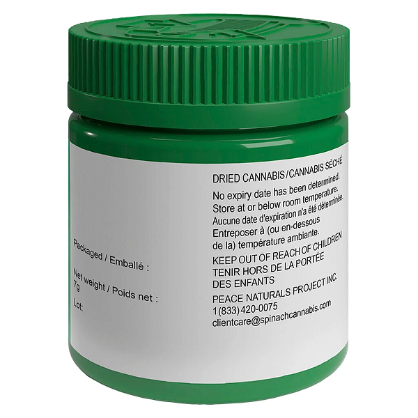 Spinach - Space Cake