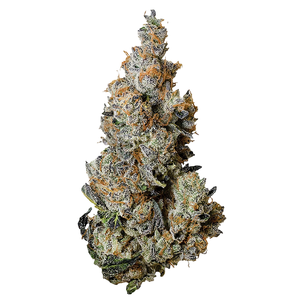 Tribal - Triple Burger