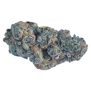 Valhalla Flwr - Cherry Cosmo